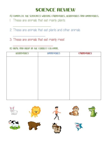 Herbivore Carnivore Omnivore Worksheet | Carnivores herbivores ...