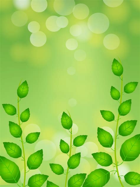 Spring Green Background Wallpaper Image For Free Download - Pngtree