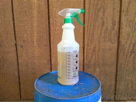 How To Make Homemade Fly Spray For Horses That's All Natural | Fly spray, Fly spray for horses ...