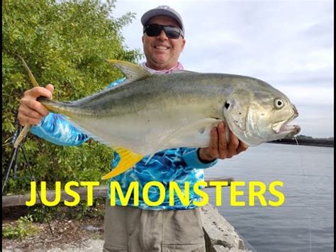 Big Bait for Big Fish Best winter Fishing SPOT - YouTube