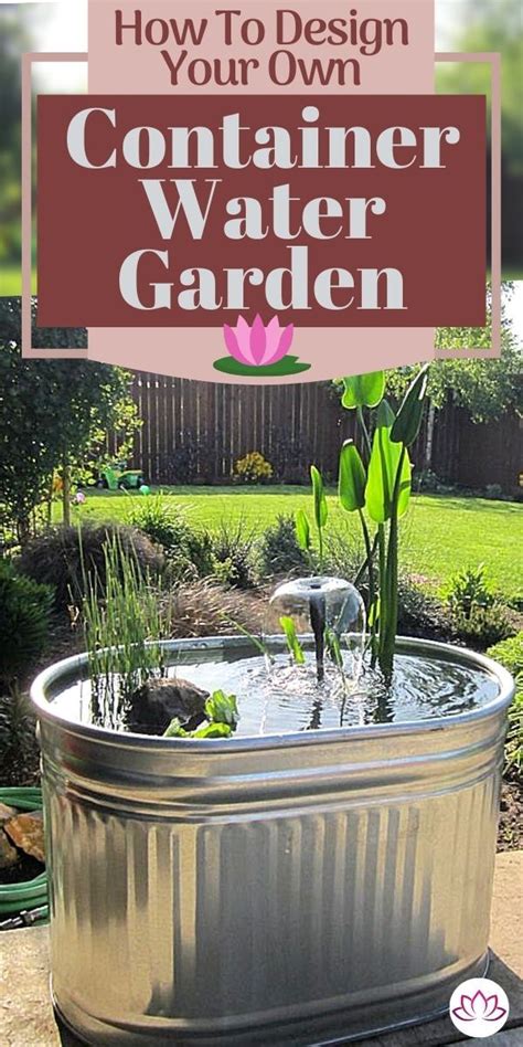 How to design your own container water garden – Artofit