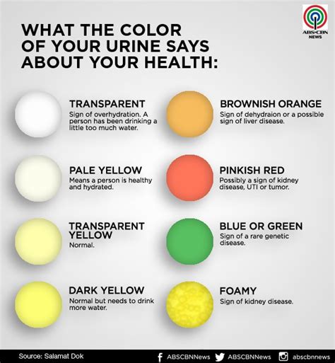 What the color of your pee says about your health | ABS-CBN News