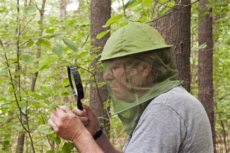 Botanist stock image. Image of study, education, scientist - 68539177