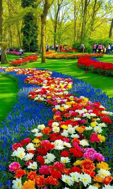 Visiting the Outdoors Garden | Beautiful flowers garden, Most beautiful ...