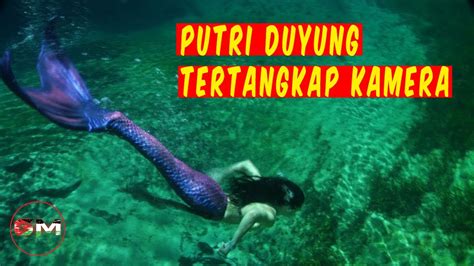 Kisah Nyata Putri Duyung Asli – Cerita | Dongeng Anak Nusantara