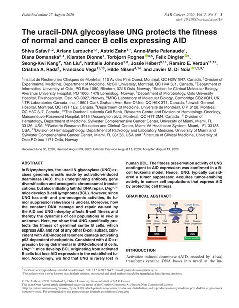 (PDF) The uracil-DNA glycosylase UNG protects the fitness of normal and cancer B cells ...