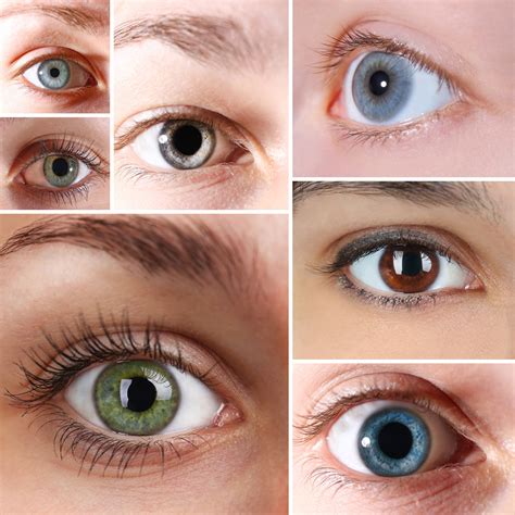 The Iris – Why Are My Eyes The Color They Are? | Alpine Eye Care