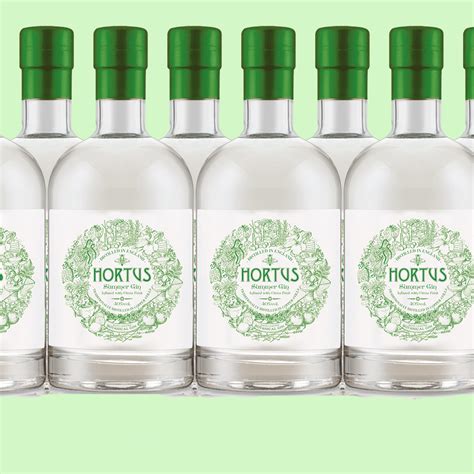 Lidl Hortus summer edition gin - Lidl has launched a summer version of its award-winning gin ...