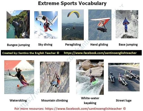 Extreme Sports Vocabulary | Vocabulario, Ilustración retro, Idioma ingles