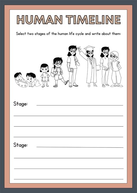 Human Life Cycle Worksheet Free Printable For Children – NBKomputer