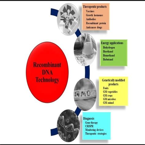 (PDF) RECOMBINANT DNA TECHNOLOGY: TECHNIQUE AND APPLICATIONS IN MODERN ERA