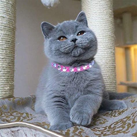 Pink Unique Luxury Swarovsky Genuine Leather Cat Collar Necklace ...