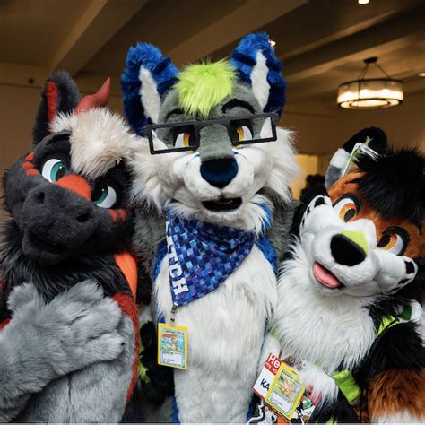 Furry Convention in Town - Anthro New England - Caught In Southie