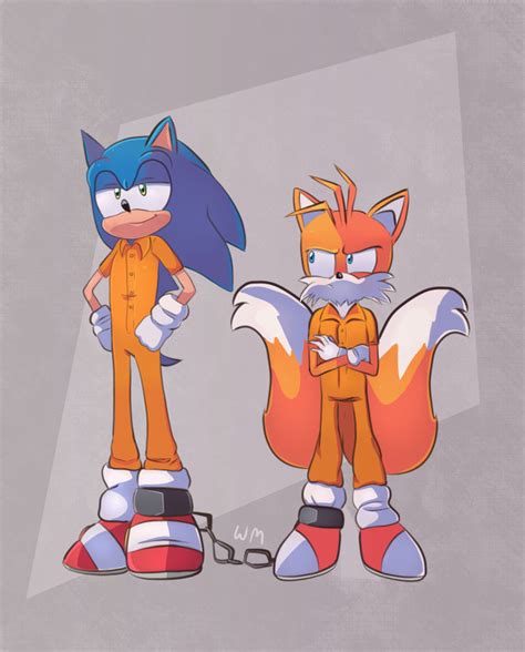 Sonic and tails after causing eggmans death | Fandom