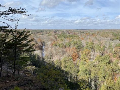 North Carolina Adds Its Third Forest — Old-Growth Forest Network