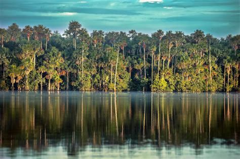 Blog | Lake Sandoval "The heart of Tambopata" | Peru Vip Travel