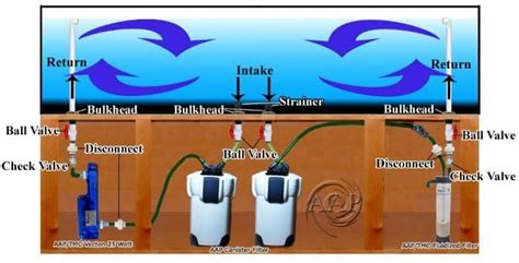 How does a canister filter work? | Saltwater aquarium, Aquarium setup ...