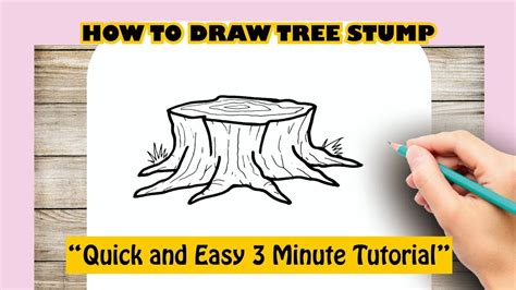 How to draw TREE STUMP - YouTube