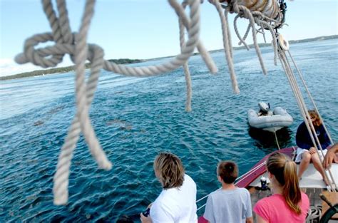 Old Sow Whirlpool – Eastport, Maine - Atlas Obscura