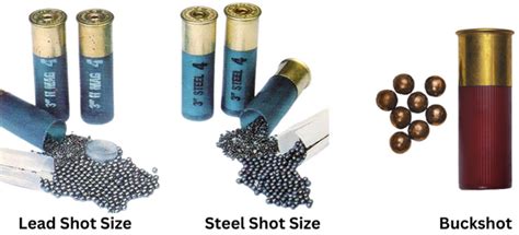 Shotgun Shot Size Chart Guide To Choose The Right Shot, 55% OFF