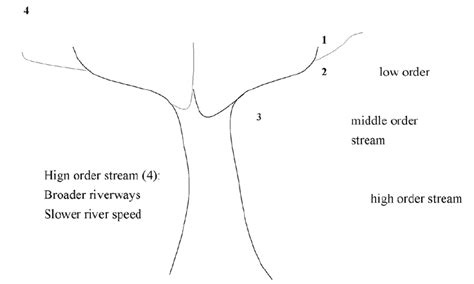 The concept of The River-Continuum Concept. Source from:Vannote et al... | Download Scientific ...