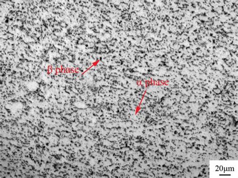 Microstructure of as-received Ti-6Al-4 V alloy | Download Scientific ...