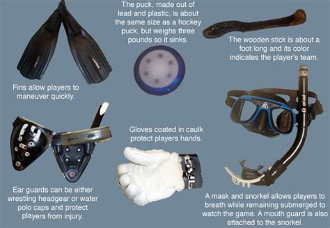 Underwater Hockey Equipment | My Water Hobbies