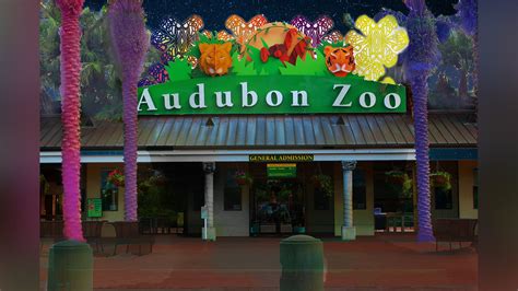 Audubon Zoo unveils new holiday tradition 'Audubon Zoo Lights' | wwltv.com