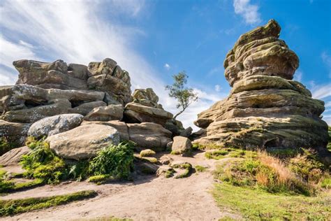 Brimham Rocks - Sykes Inspiration