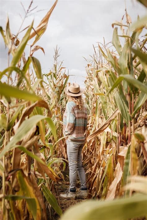 Woman Farmer with Hat Standing in Corn Field before Harvest Stock Image - Image of harvest ...