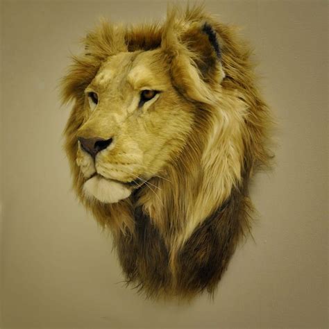 Reproduction Lion Head Faux Taxidermy Mount - Etsy | Faux taxidermy ...