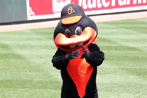 The Baltimore Orioles mascot with some balls in his mouth.... | Flickr - Photo Sharing!