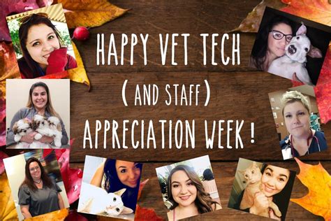 Happy National Vet Tech Week! – Gentle Hearts Animal Hospital