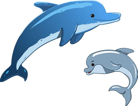Delfín Marinos Animales La Mamá Y - Gráficos vectoriales gratis en Pixabay