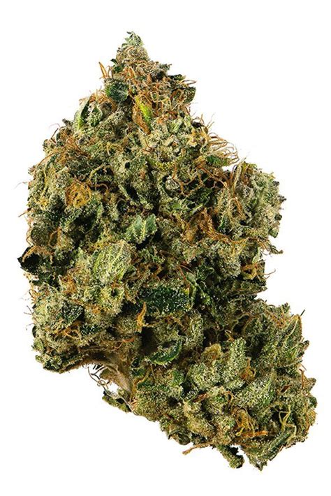 Chem 91 Strain | Proper Cannabis