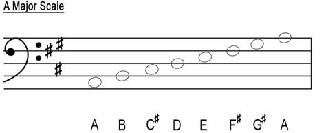 The major scales - Bass clef - Music