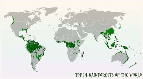 Jungle World Map