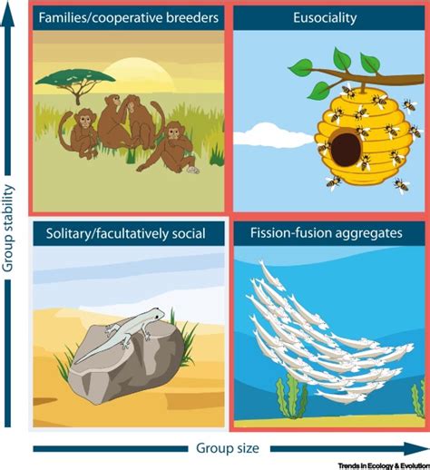 Predicting the impacts of chemical pollutants on animal groups: Trends in Ecology & Evolution