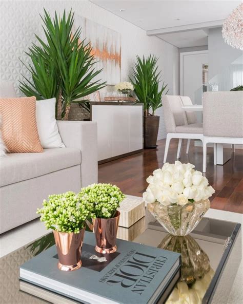 Guilherme Oliveira: Plantas para sala: 70 maneiras de decorar com ...