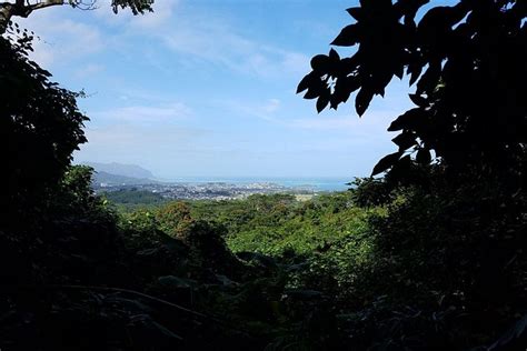 Koolau Waterfall Hike