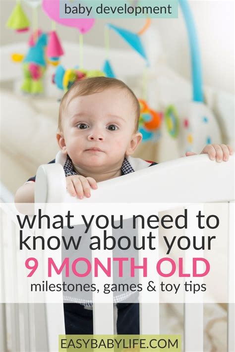 Your Active 9-Month-Old Baby Development , Activities, Toys | Baby development milestones, Baby ...