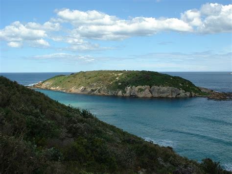 Muttonbird Island - Australia