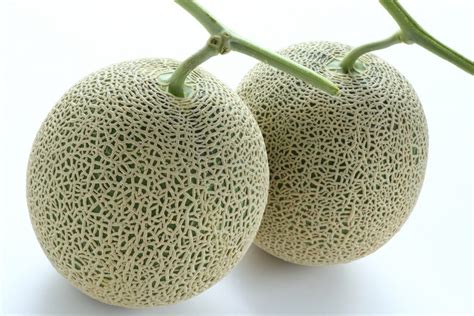 Deux melons vendus plus de 25 000 euros au Japon