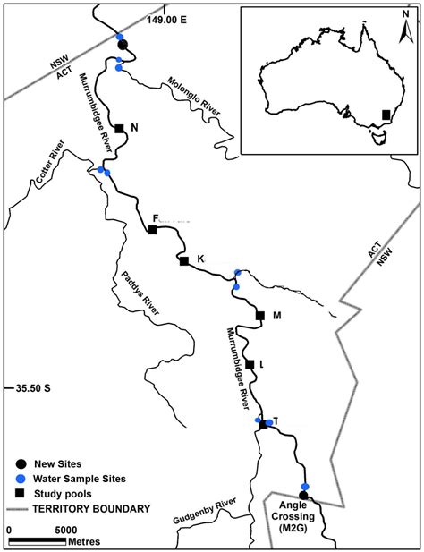 [PDF] Dispersal and pre-natal origin of Murray cod (Maccullochella peelii) in an Australian ...