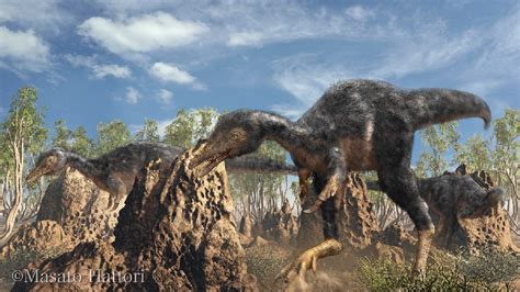 Alvarezsaurus Pictures & Facts - The Dinosaur Database