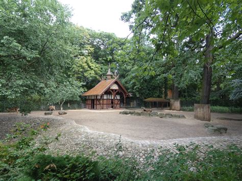 Persian Fallow Deer enclosure - ZooChat