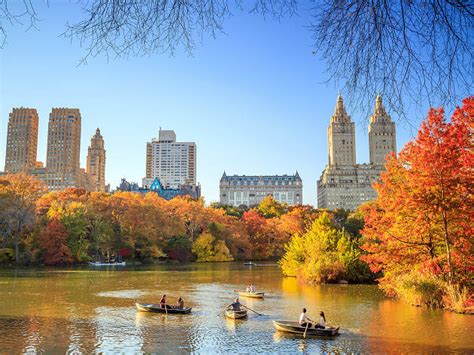 This map shows you the best time to see gorgeous fall foliage in New York