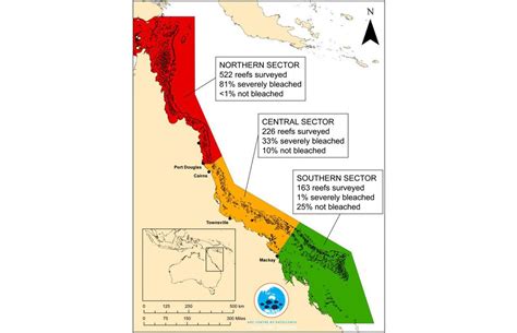 Mass Bleaching Destroys Swaths of the Great Barrier Reef | Smithsonian