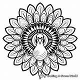 Peacock Mandala Coloring Pages  Free & Printable sketch template