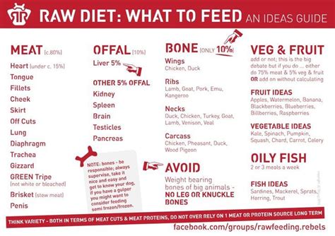 Quick Guide to Raw Feeding for Woofers | Rawfeeding Rebels | Raw feeding for dogs, Raw dog food ...